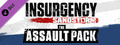 Insurgency: Sandstorm - Assault Pack